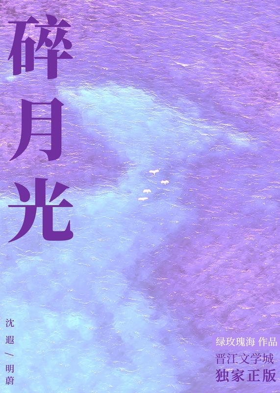 碎月光封面