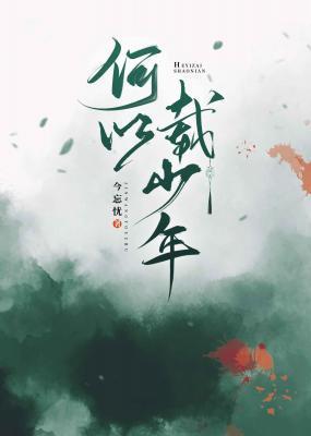 何以载少年封面