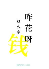 前任非让我尝尝花钱的苦封面