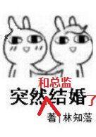 突然和总监结婚了封面
