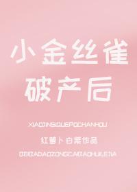 小金丝雀破产后封面