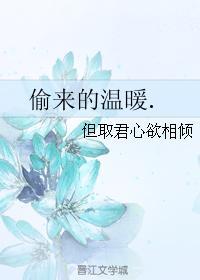 偷来的温暖封面