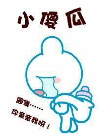 小傻瓜驯夫手札封面