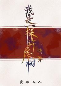 我是一棵许愿树（快穿）封面
