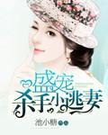 盛宠杀手小逃妻封面
