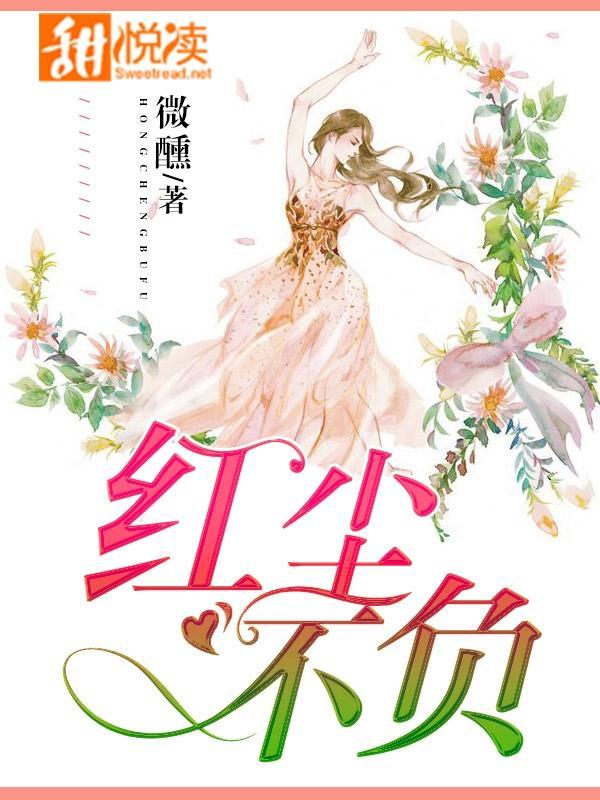 红尘不负封面