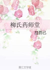 柳氏药师堂封面