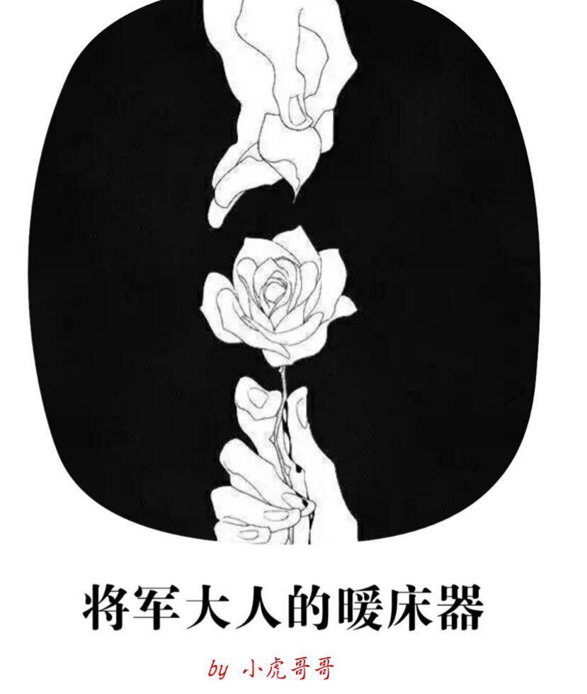 将军大人的暖床器封面
