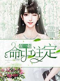 命中註定在一起封面