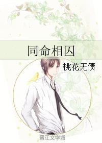 同命相囚封面
