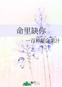 命裏缺你封面