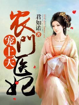 苏果宋安之封面