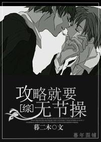攻略就要无节操封面