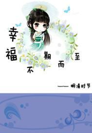 幸福不期而至封面