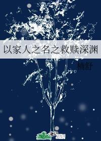 以家人之名之救赎深渊封面