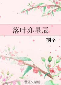 落叶亦星辰封面