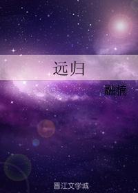 远归封面