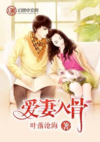爱妻入骨封面
