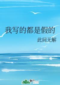 我写的都是假的封面