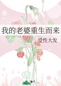 我的老婆重生而来封面