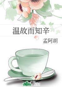 温故而知辛封面