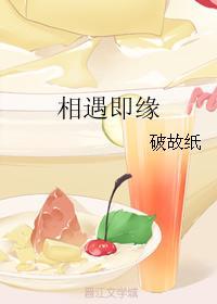 相遇即缘封面
