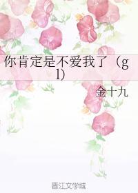 你肯定是不爱我了（gl）封面