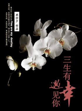 三生有幸，遇见你封面