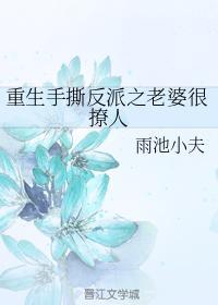 重生手撕反派之老婆很撩人封面