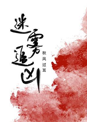 迷雾追凶封面