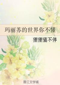 玛丽苏的世界你不懂封面