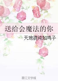 送给会魔法的你封面