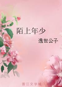 陌上年少封面