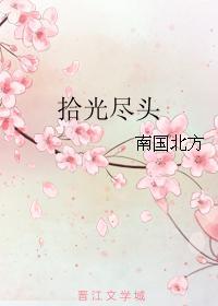 拾光尽头封面
