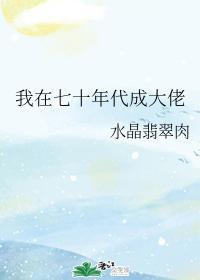 我在七十年代成大佬封面
