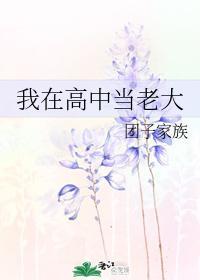 我在高中当老大封面