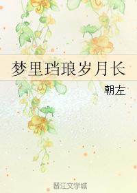 梦裏珰琅岁月长封面