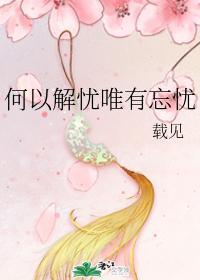 何以解忧唯有忘忧封面