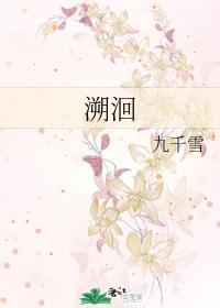 溯洄封面