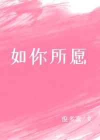 如你所愿封面
