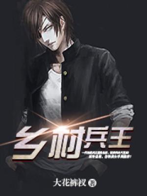 兵王在乡村封面
