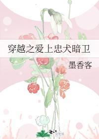 穿越之爱上忠犬暗卫封面