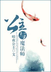 公主与魔法师封面