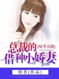 他的穷追不舍封面