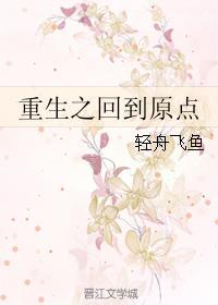 重生之回到原点封面