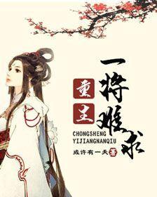 重生一将难求封面