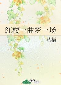 红楼一曲梦一场封面