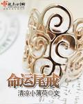 命运尾戒封面