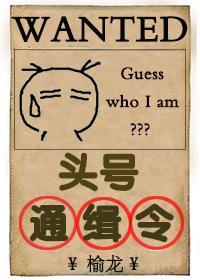 头号通缉令（无限流）封面