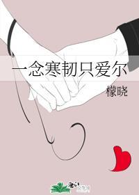 一念寒韧只爱尔封面